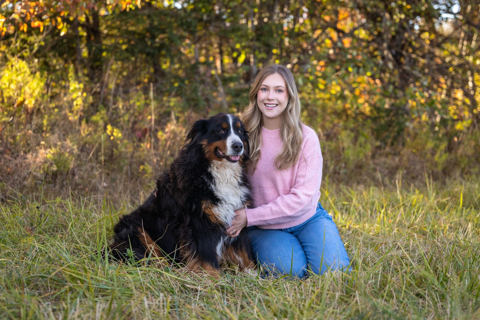 Woman sitting with a Bernese Mountain Dog in a sunlit autumn field