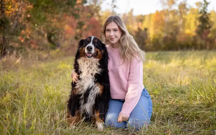 Bernese Mountain Dog leaning affectionately against its owner at home